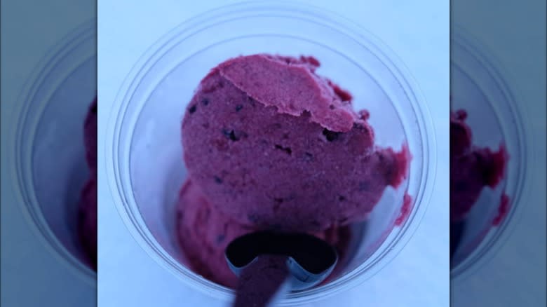 Akutaq ice cream in cup