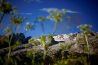 <p>Lors des recherches autour du glacier de la Marmolada.</p>