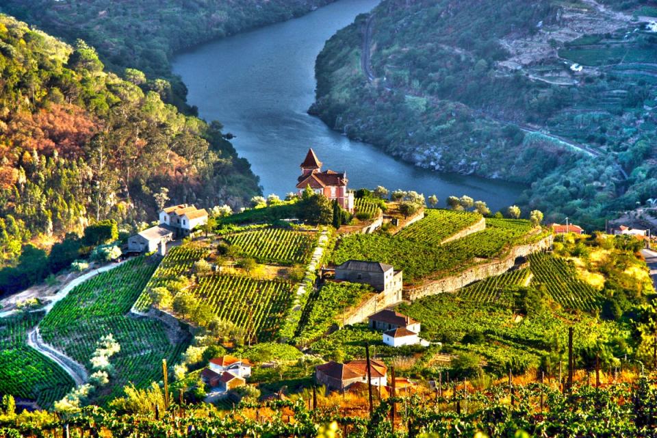 The Douro Valley has been a listed World Heritage Site since 2001 (Getty Images/iStockphoto)