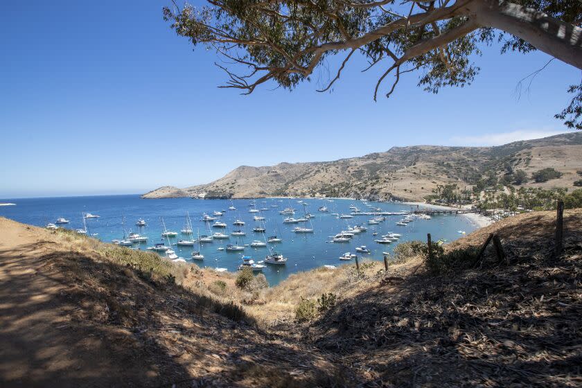 TWO HARBORS, CA - AUGUST 11: A view overlooking Two Harbors n Catalina Island on Tuesday, Aug. 11, 2020. (Allen J. Schaben / Los Angeles Times)