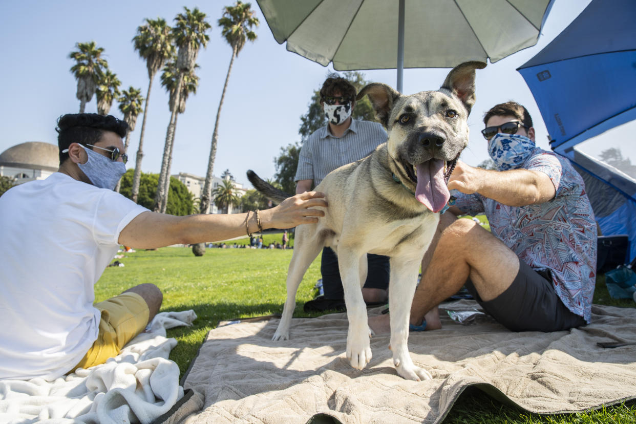 SAN FRANCISCO, CA - SEPT. 5: From left: Soheil Norouzi, Edward Sciaky and Tyler Pate hang out with Arlo the dog during the Labor Day weekend at Dolores Park, Saturday, Sept. 5, 2020, in San Francisco, Calif. Californians experienced a massive heatwave with triple-digit temperatures throughout much of the state, even in the coastal regions. As a result citizens took to the outdoors to escape the heat at beaches and lakes, raising health officials' fears of coronavirus infection spikes. (Santiago Mejia/The San Francisco Chronicle via Getty Images)