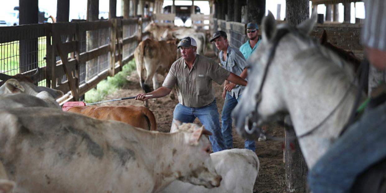 Livestock - louisiana