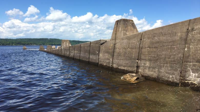 Crumbling historic wharf on St. John River spurs group to action