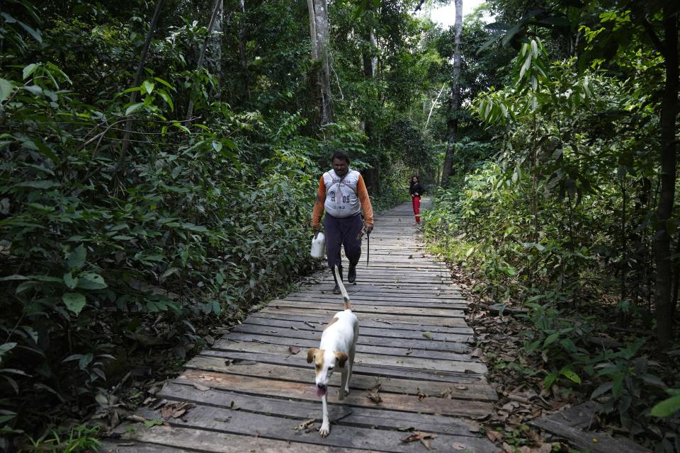 A man trails a dog in Lago Serrado community, near Carauari, Brazil, Thursday, Sept. 1, 2022. A Brazilian non-profit created a model for land ownership that welcomes both local people and scientists to collaborate in preserving the Amazon. (AP Photo/Jorge Saenz)