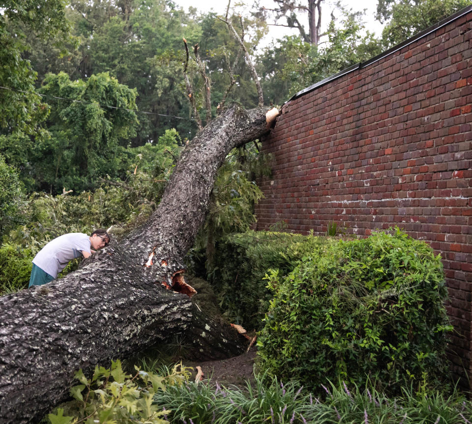 Alexander Gregory, 14, looks over the damage of a fallen tree that was struck by lighting at Buddy Martin's house in the 1500 block of SE 22nd Avenue in Ocala on Thursday.