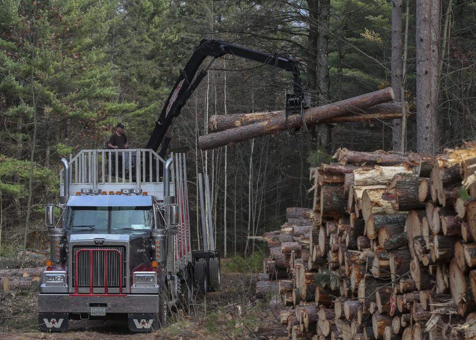 A truck driver loads logs onto his truck Oct. 24 near Minocqua. According to a recent report by AFL-CIO, forestry is one of the industries that sees more than average worker fatalities nationally. In general, Wisconsin’s worker fatality rate is below the national rate, according to the 2023 report.