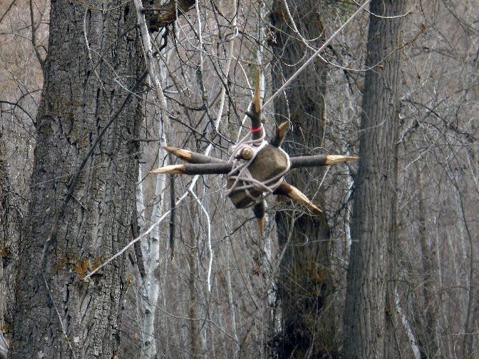 This photo released on Monday, April 23, 2012 by the Utah County Sheriff's Department shows part of a booby traps found along a hiking trail as part of a crude shelter made of dead tree limbs found in a Provo Canyon, Utah. Two men have been arrested on suspicion of setting the traps and were booked Saturday into the county jail for investigation of misdemeanor reckless endangerment. (AP Photo/Utah County Sheriff Department)