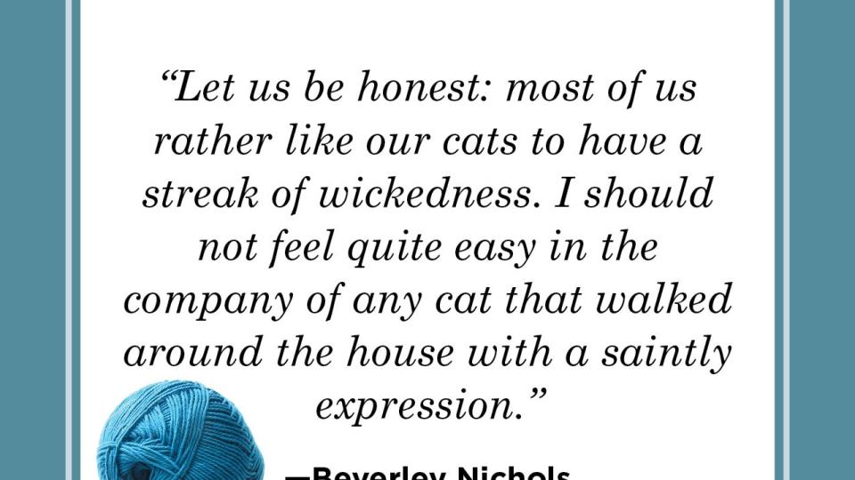 cat quote by beverley nichols