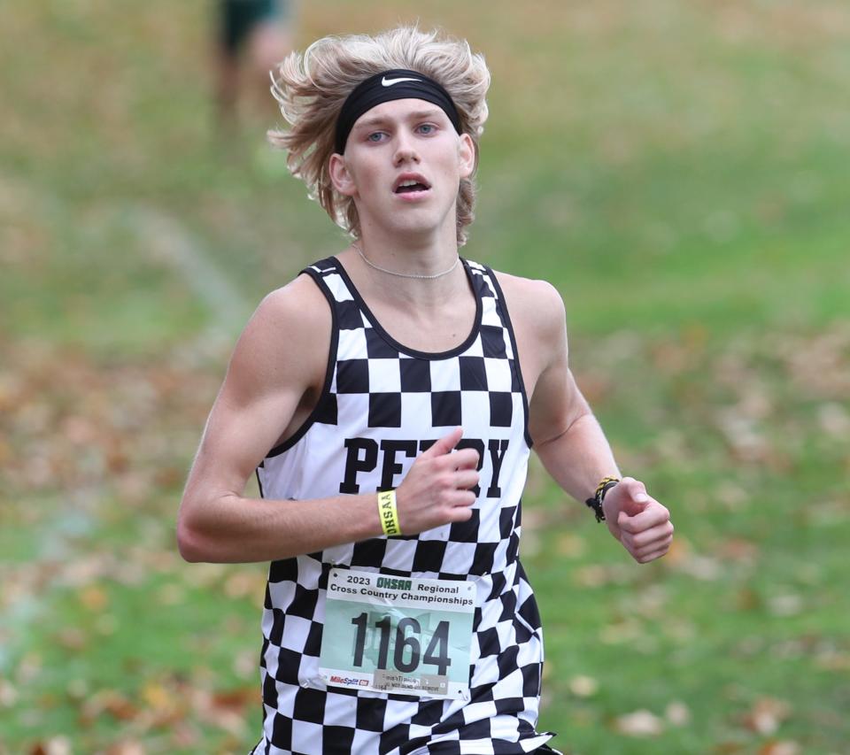 Perry's Connor Reed competes in last fall's Division I regional cross country meet at Boardman.