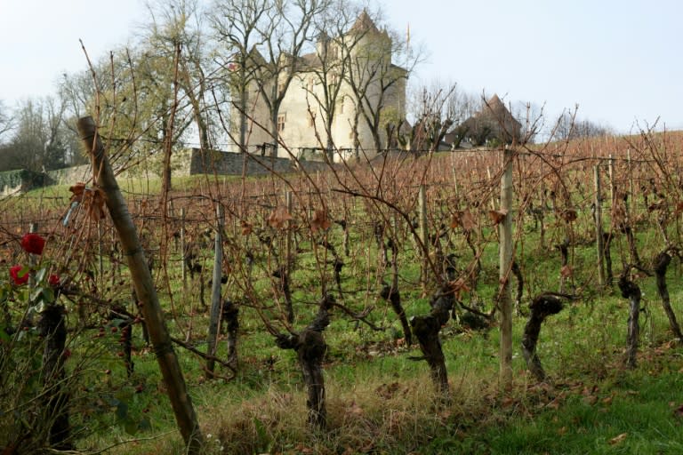 The castle of Lagrezette in Caillac, southwestern France