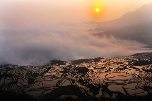 File photo shows paddy fields on a hillslope in the mountainous region of Yuanyang in China's Yunnan province. More than a billion people worldwide could starve if India and Pakistan unleash nuclear weapons because even a 'limited' nuclear war would cause major climate disruptions, a study warned