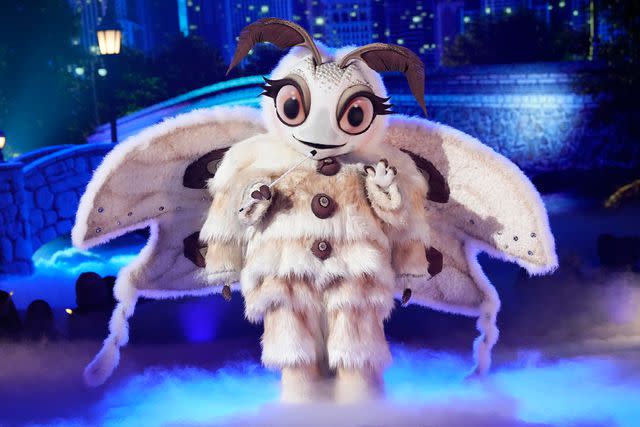 <p>Michael Becker / FOX</p> Poodle Moth on 'The Masked Singer'