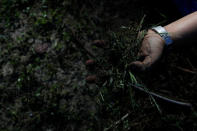 Chen Hong-zhi, 26, who suffers from short-term memory loss, removes weeds at his farmland, in Hsinchu, Taiwan, July 31, 2018. REUTERS/Tyrone Siu