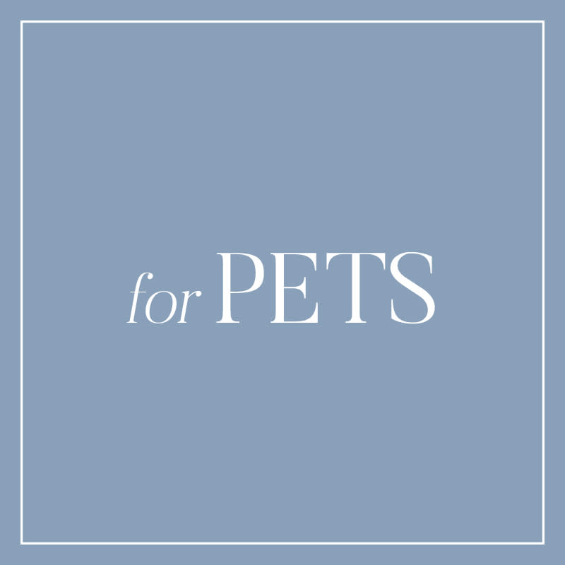 <p>We love our pets and can't help but spoil them, well, all year round. For the holidays, go big with a super-plush bed that's in line with your home decor or build upon their wardrobe (practical? yes!) with a chunky knit or ombre leash. Also, who knew a poo bag could be chic?</p>