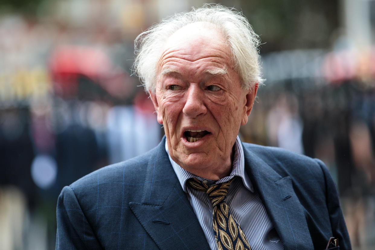 Sir Michael Gambon. (Photo by Jack Taylor/Getty Images)