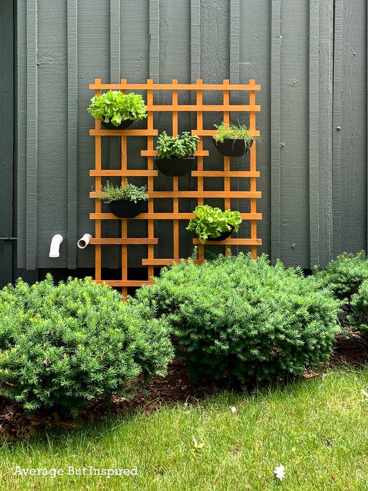 trellis ideas vertical herb garden