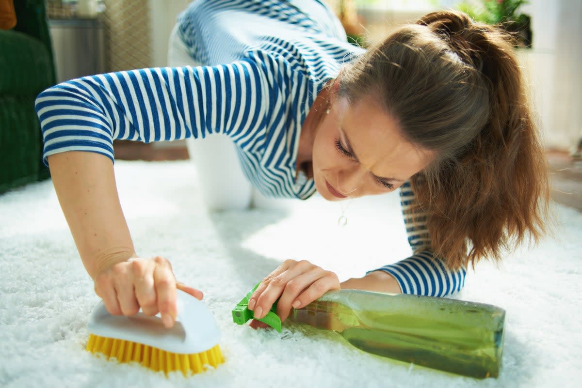 ‘I spend a disproportionate amount of time thinking that if everything is clean, everything is OK. Surely this is normal behaviour for a parent with two young children and an unruly dog?’  (iStock)