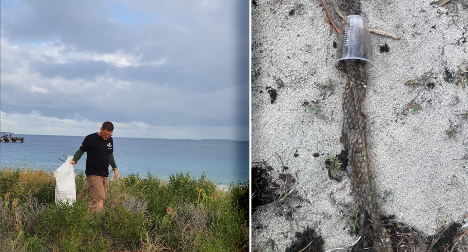 Clean-up volunteers were notified by a passerby about a lizard caught in a plastic cup. Source: Sea Shepherd