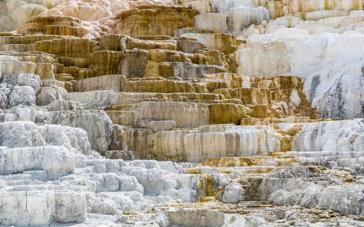 Yellowstone's Mammoth Springs