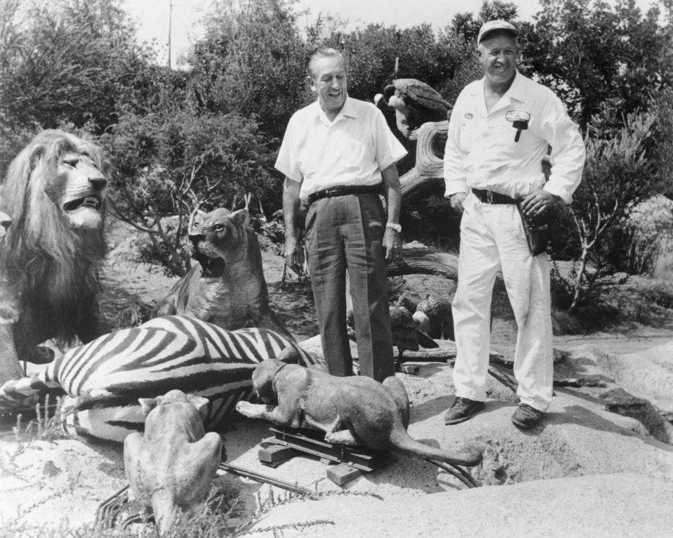 Walt Disney and park engineer and repairman Louie Francuz inspect the new African Safari area of Disneyland's Jungle Cruise Ride. Each Animatronic model is checked for realism.