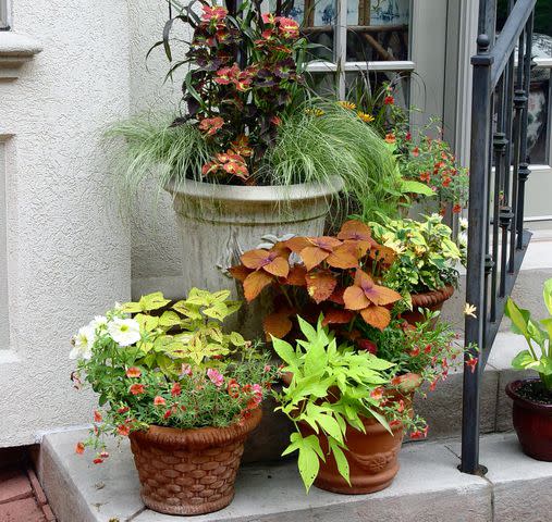 <p><a href="https://georgeweigel.net/favorite-past-garden-columns/containerscaping-how-to-take-your-potted-plants-to-a-new-level" data-component="link" data-source="inlineLink" data-type="externalLink" data-ordinal="1" rel="nofollow">George Weigel</a></p>