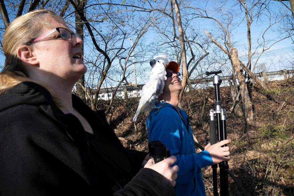 Kristin Free and Tim Johnston brought their cockatoo, Kooper, with them Monday while they watched the nest of American bald eagles near Dublin Road.