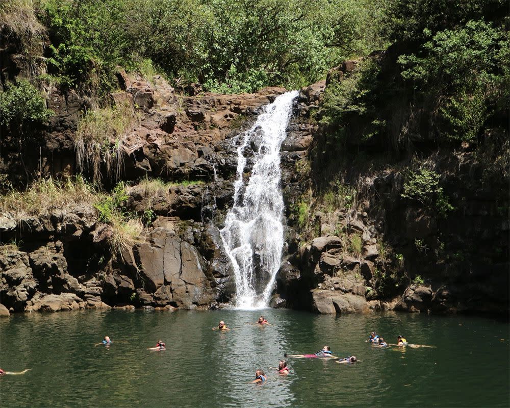 Oahu Waimea Falls, Oahu, Hawaii