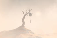 A boy dangling from a tree in a barren desert. A forest filled with standing