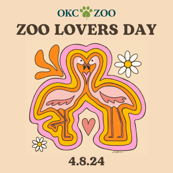 Zoo Lovers Day at OKC Zoo flyer.