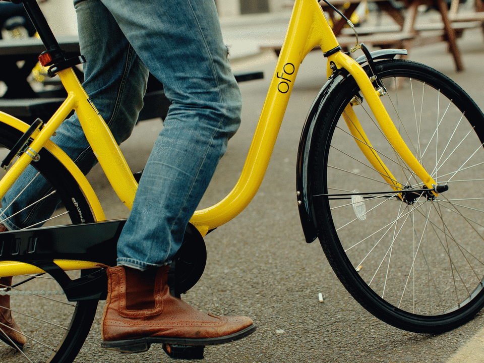 The start-up said it March that it had raised $450m in its last round of funding: ofo