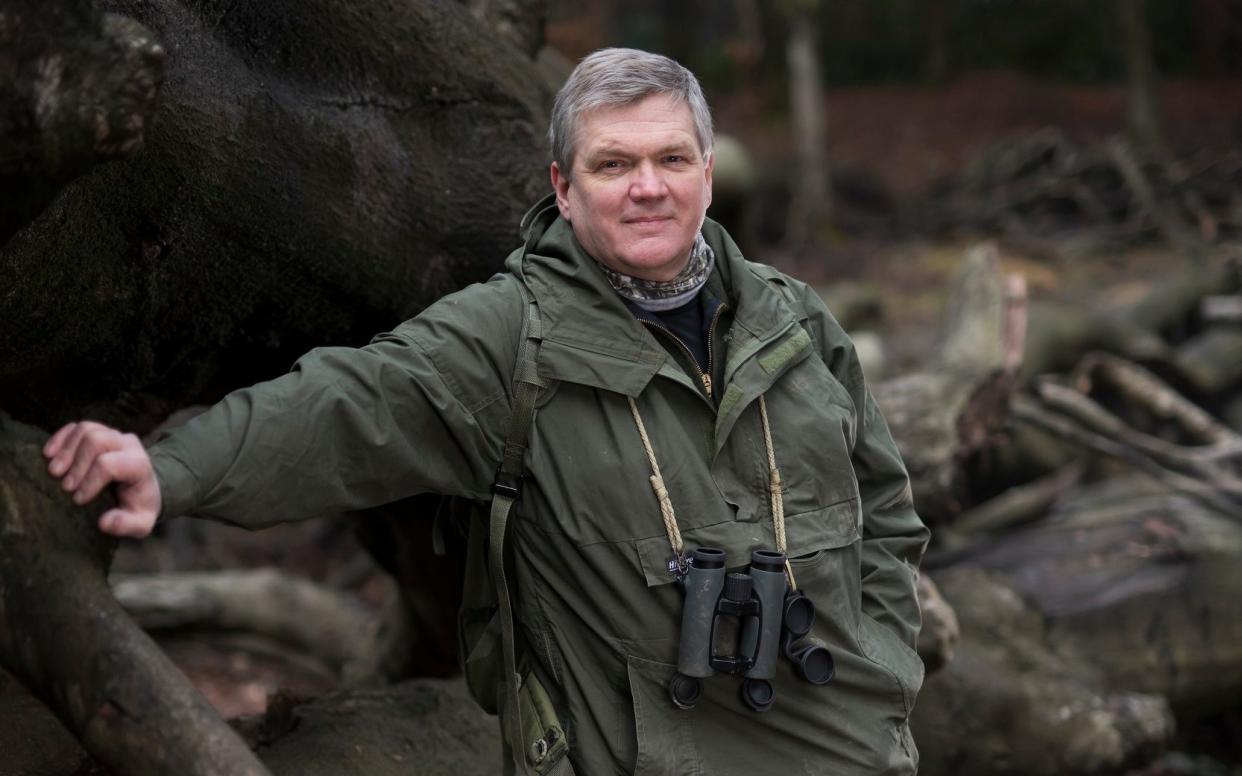 Ray Mears in the Ashdown Forest in Sussex -  Christopher Pledger/ 