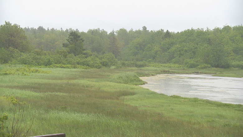 Environmental report for controversial Shediac RV park released