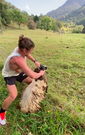 Nick 'The Honey Badger' Cummins Saves The Life Of A Sheep In Distress