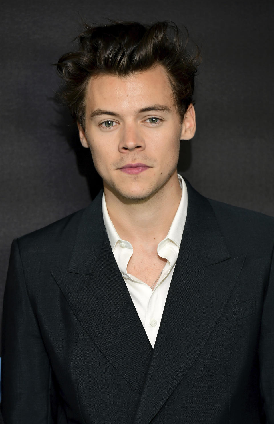 Harry Styles (2012 – 2013)