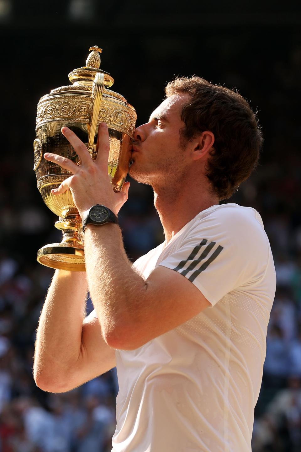 Winning Wimbledon in 2013Getty Images