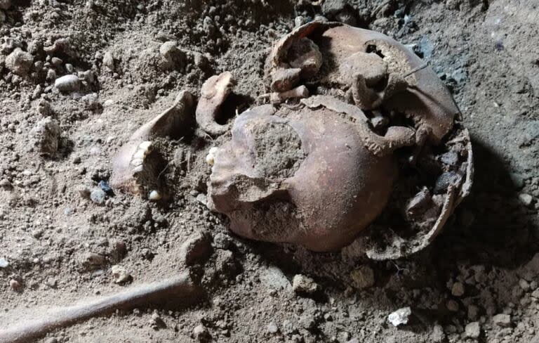 Encuentran cinco esqueletos en la casa del lider nazi Hermann Göring
CNN