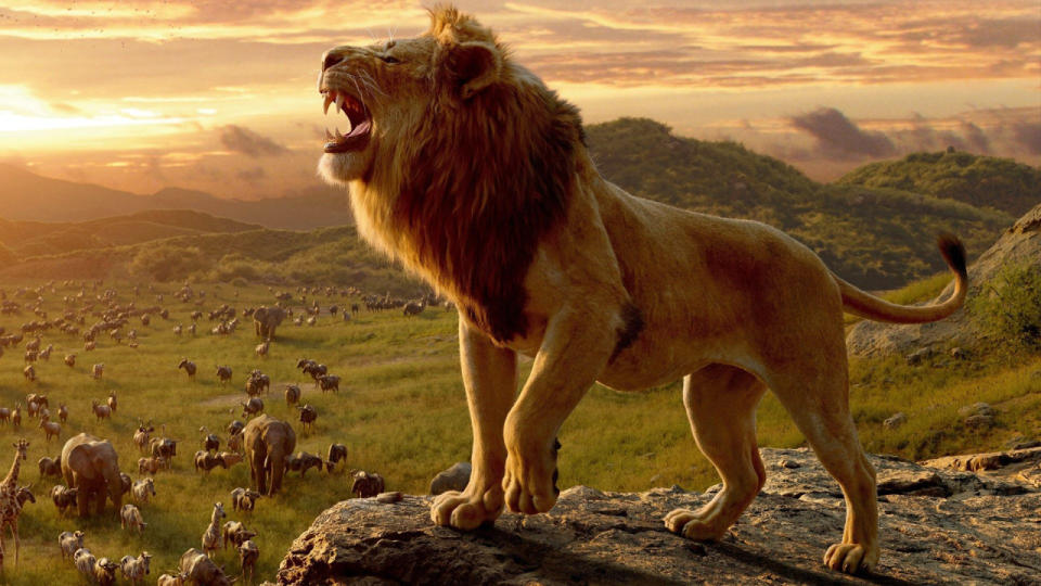 Donald Glover voices Simba in The Lion King.