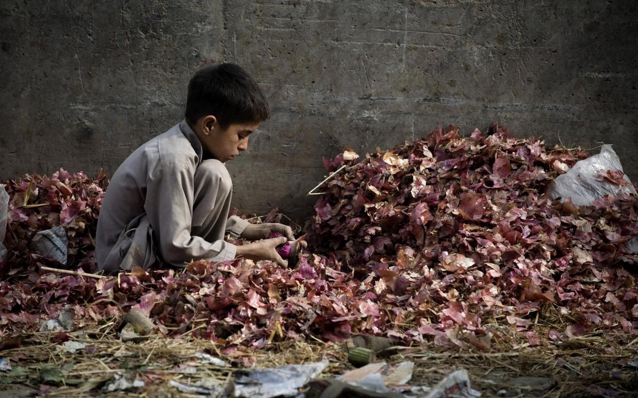 Pakistan boy Ahmid, (8), cleans onions to be sold at a market in Rawalpindi, on the outskirts of capital Islamabad on November 13, 2009. Officially, Pakistan admits its 3.3 million children are at work helping their economically crippled families to survive but independent analysts say this figure is much higher.  - AFP