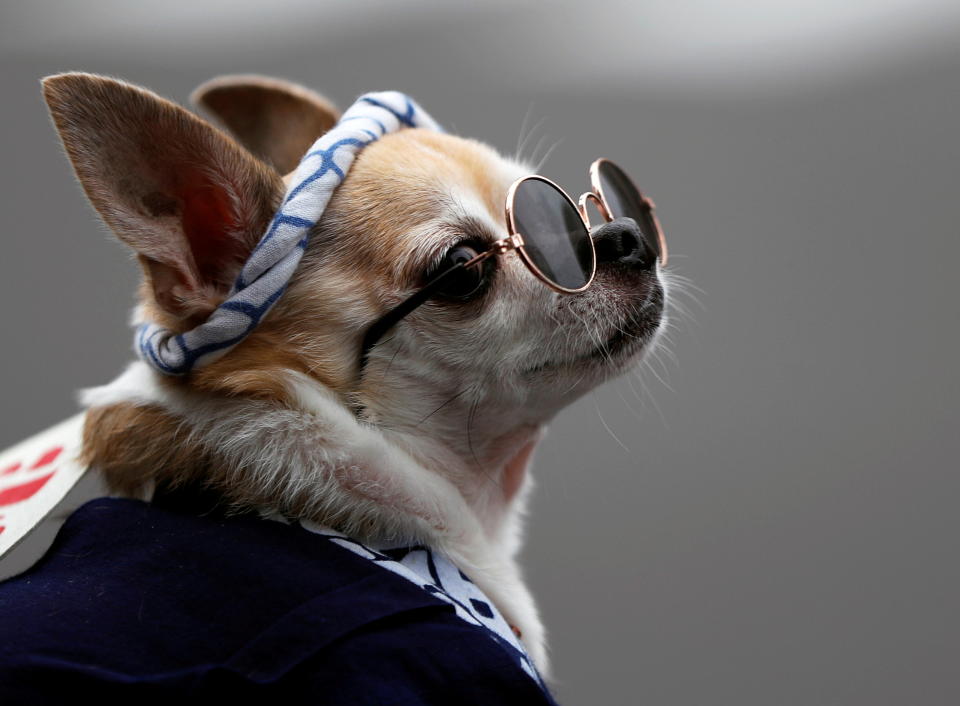 (Photo: Issei Kato / Reuters)