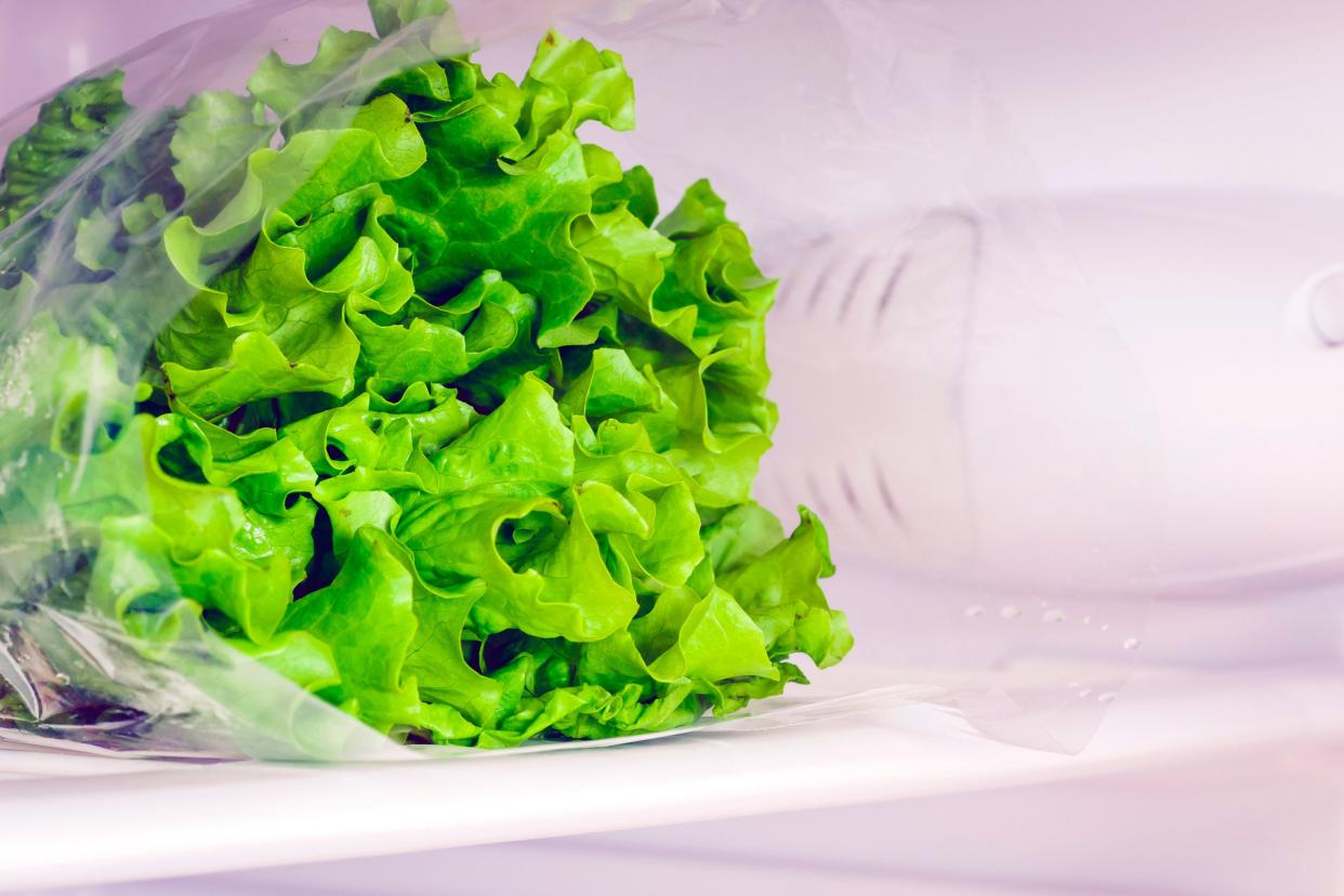 lettuce in the refrigerator at home