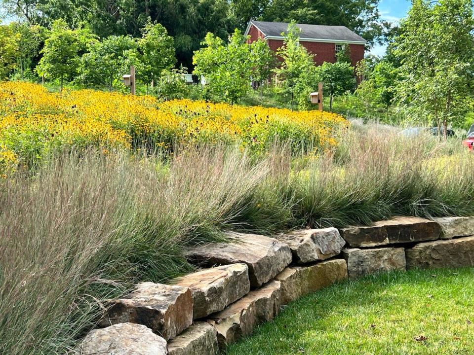 Chris Bishop of Bearden has a Certified Tennessee Smart Yard, providing a welcoming environment for pollinators and great water management – not to mention beauty and ease of maintenance. Aug. 5, 2022