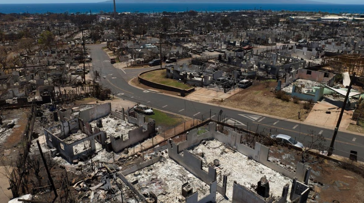 Fires ripped the town of Lahaina, killing Rebecca Rans amongst 115 others (Jae C. Hong AP Photo)