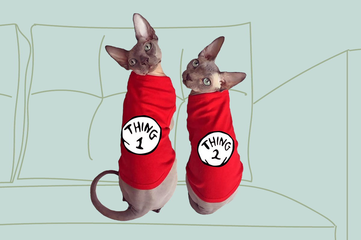 10 Purrfectly Stylish and Practical Shirts for Cats to Add to Your