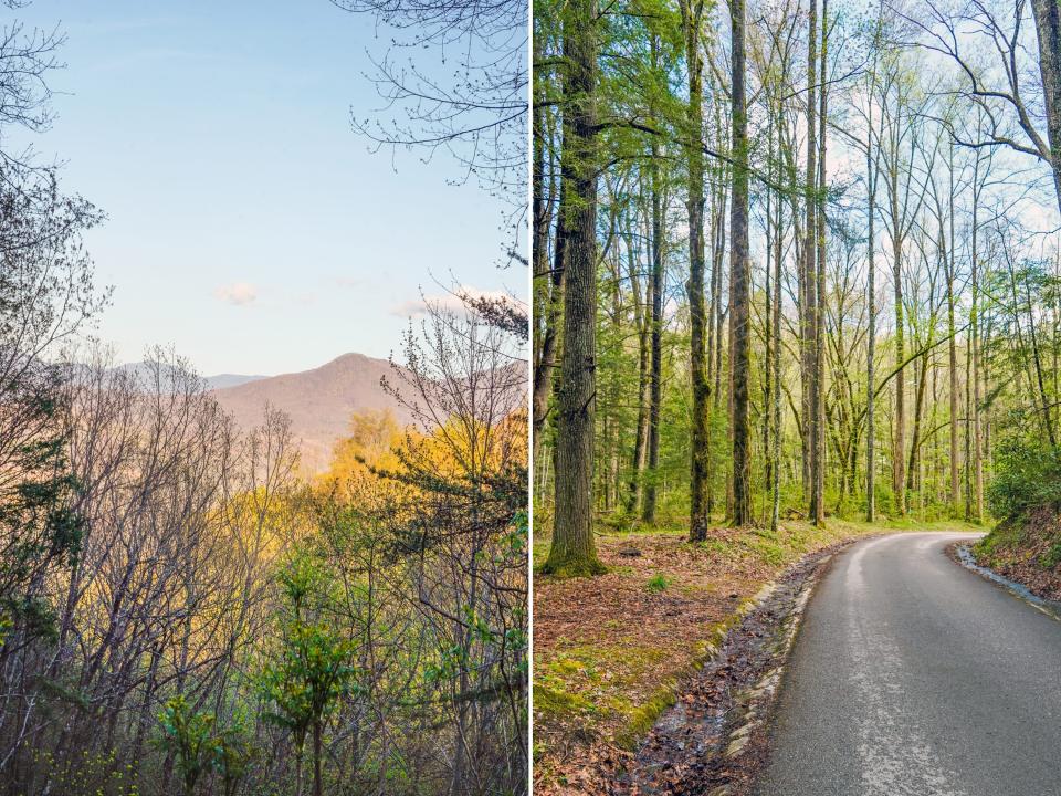 Picturesque lanscapes in the Great Smoky Mountains.