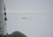 The Soyuz TMA-10M spacecraft landing site is seen from a helicopter after the capsule landed with former ISS commander Oleg Kotov and flight engineers Sergei Ryazansky and Michael Hopkins from NASA onboard in a remote area southeast of the town of Zhezkazgan in central Kazakhstan, March 11, 2014. (REUTERS/Bill Ingalls/NASA/Handout via Reuters)