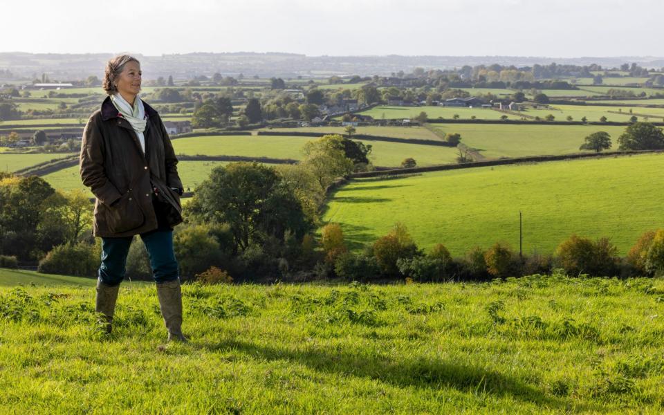 Jenny Morisetti du Dorset Climate Action Network, qui gère le projet de création d'une haie longue de 100 milles - Corin Messer