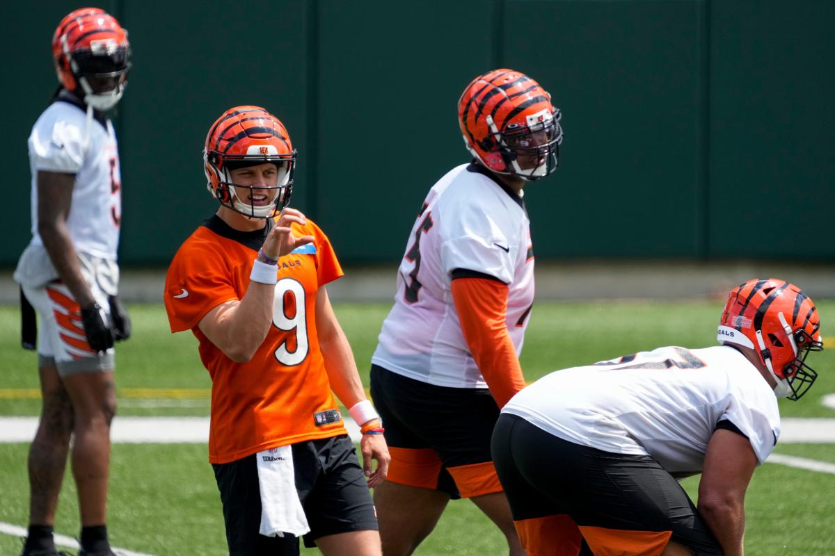 Joe Burrow and former Ohio State teammates golf with Suns' Devin Booker -  Cincy Jungle