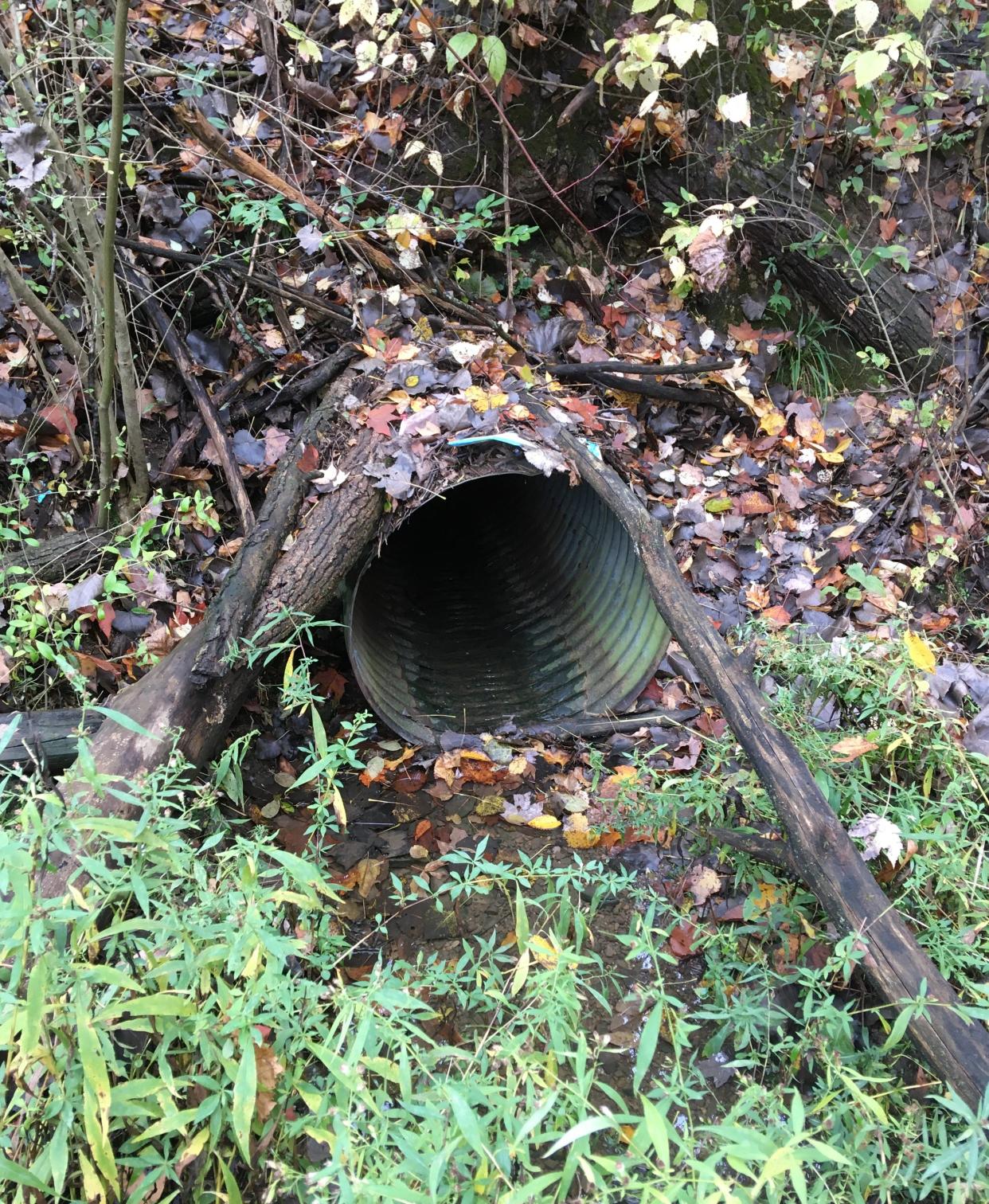 Trustees have designated up to $150,000 of Madison Township’s American Rescue Plan allocation to pay for the upgrade or replacement of a storm water drainage pipe at the Eastview-Manner intersection.