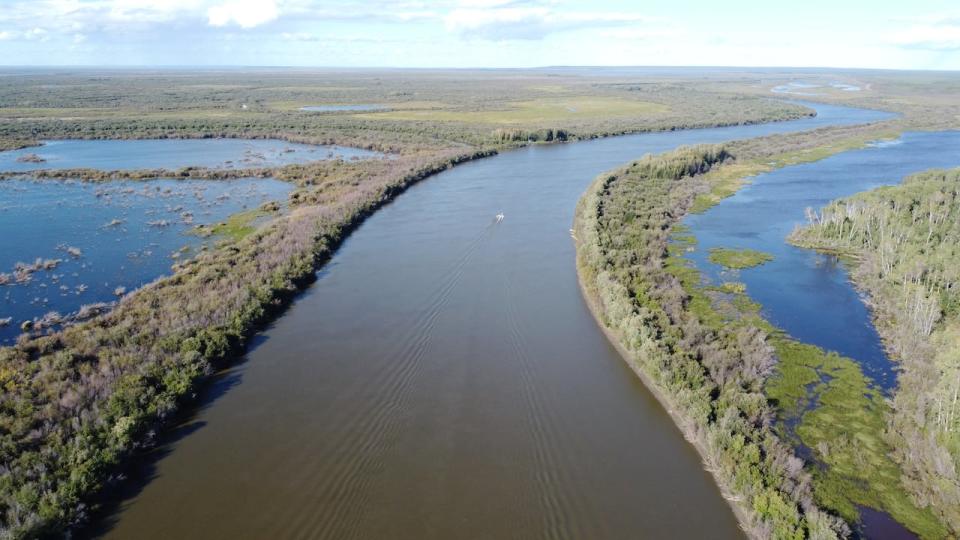 Industry and climate change are affecting water levels in the Peace-Athabasca Delta.