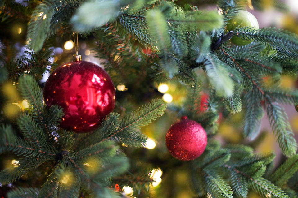 Christmas holiday background. Beautiful fir tree with garland and red ball.